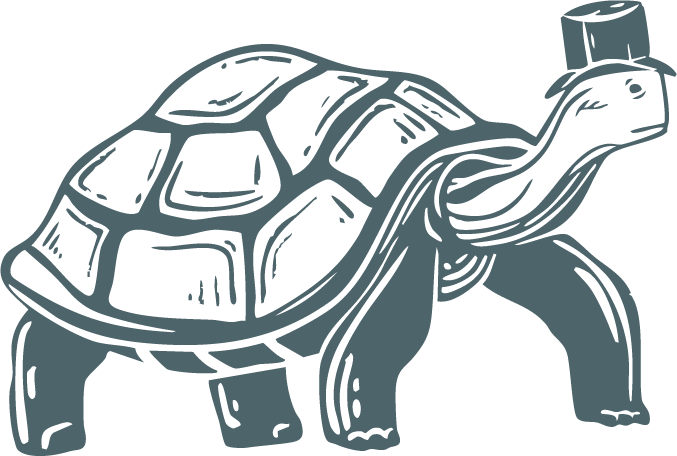 Dibujo tortuga verde